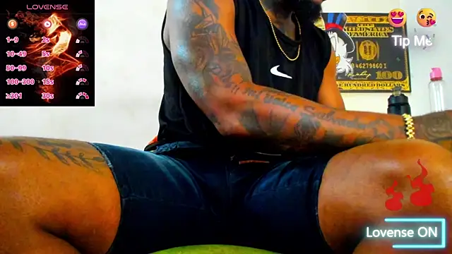 ZIANY 25CM online show from March 2026 05:42:02 PM