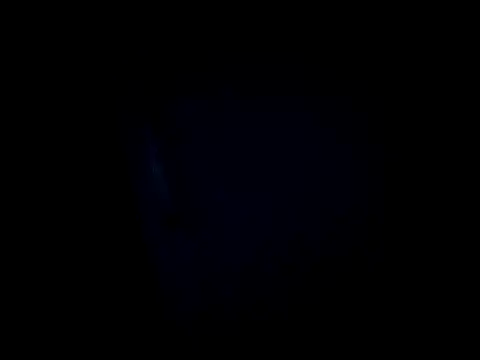 dustbunny64 online show from March 2026 08:04:01 AM