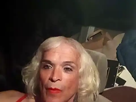 dustbunny64 online show from March 2026 10:09:02 AM