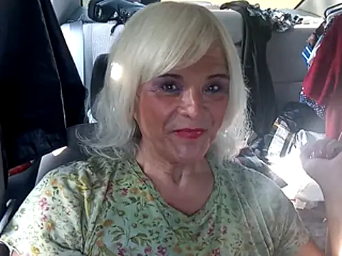 Snapshot of dustbunny64 chatting on July 2026 04:06:01 PM dustbunny64 online show from July 2026 04:06:01 PM
