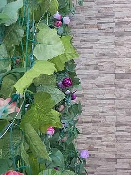 Roma xxx online show from February 2026 10:21:01 PM