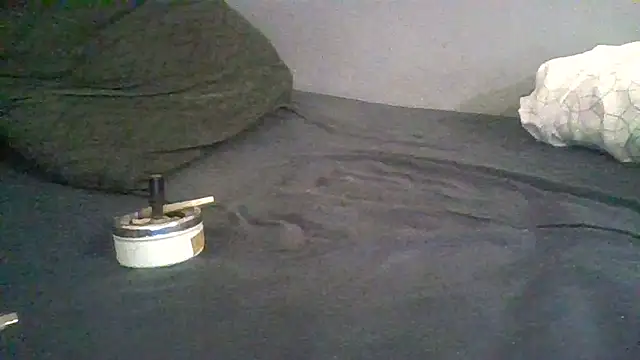 Snapshot of BonneQueueBonjour chatting on February 2026 11:45:01 AM BonneQueueBonjour online show from February 2026 11:45:01 AM