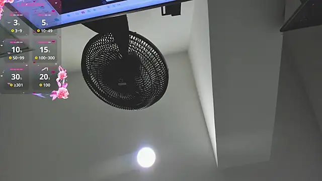 Snapshot of agartha_velvet chatting on March 2026 03:41:01 AM agartha velvet online show from March 2026 03:41:01 AM