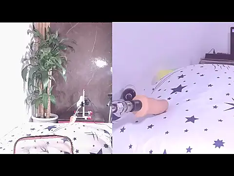 Carol Swet online show from April 2026 11:39:01 AM