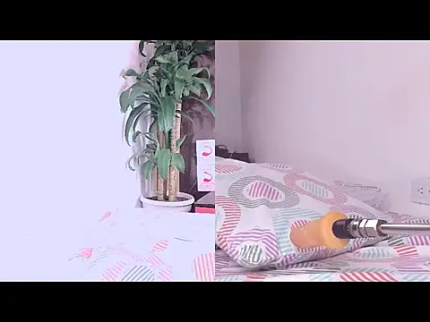 Carol Swet online show from March 2026 11:32:02 AM