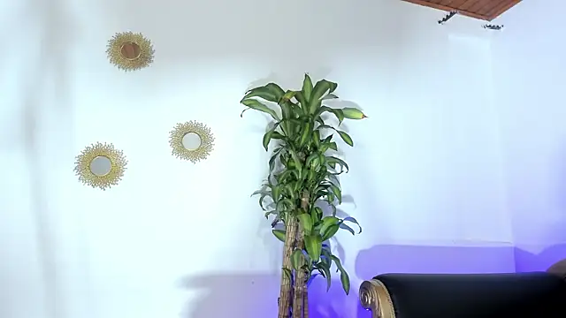LunaVelour13 online show from May 2026 11:32:02 PM