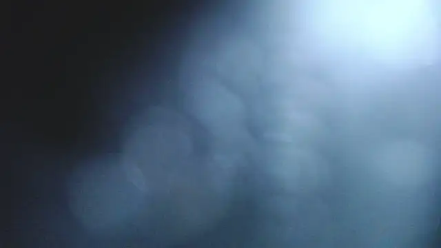 Stannly1 online show from March 2026 09:36:02 AM