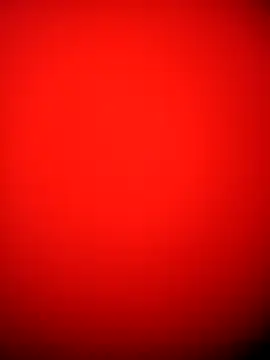 Big-DickHot online show from February 2026 04:03:02 PM