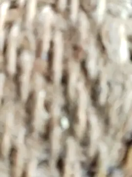 SONY BABY online show from April 2026 03:24:02 AM