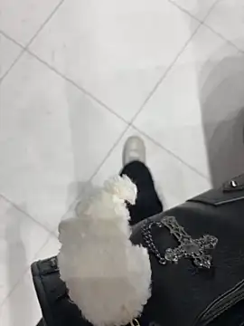 Sexy lissaa online show from March 2026 10:39:01 AM