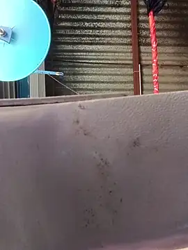 taniya0 online show from April 2026 06:07:02 AM