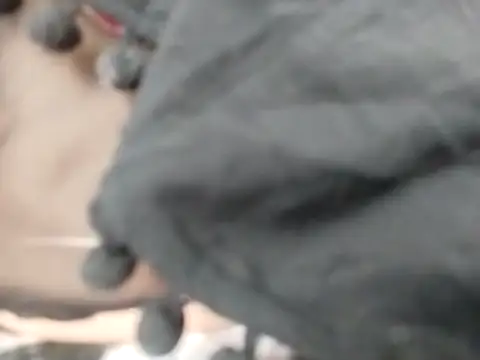 VeraVS online show from February 2026 09:22:02 AM