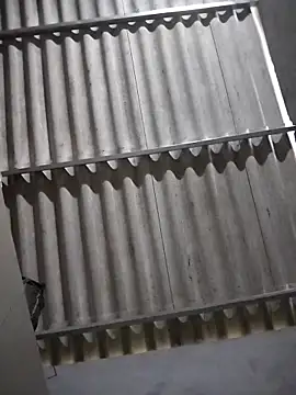 Baby flower 1 online show from February 2026 08:24:02 AM