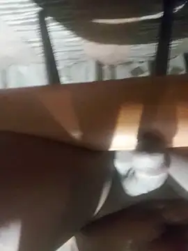 Cookiesucker2025 online show from March 2026 11:56:02 PM