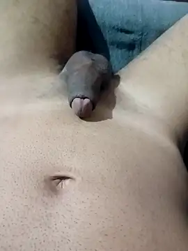 an0203 online show from April 2026 02:47:02 AM