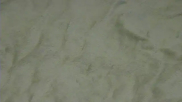 CrazyTo online show from February 2026 10:06:01 AM