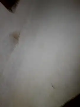 iwantolderwmn online show from February 2026 01:46:01 AM