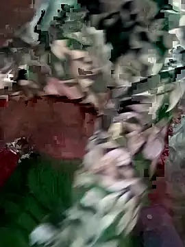 mimpake online show from April 2026 08:21:02 AM