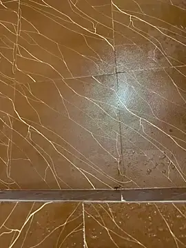 mrtomboy007 online show from February 2026 11:51:01 PM