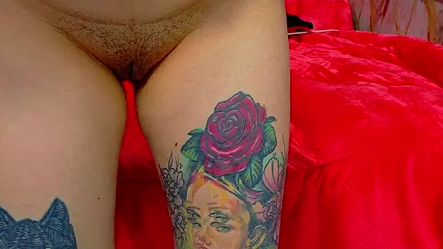 nova kitttyy online show from April 2026 12:39:01 AM