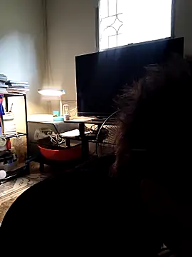 rdan13 online show from March 2026 07:04:01 AM