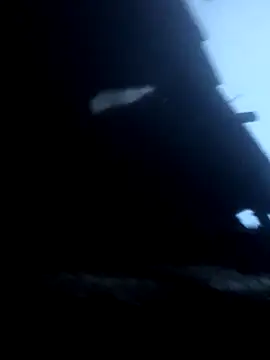 euchapo99 online show from February 2026 09:24:01 PM