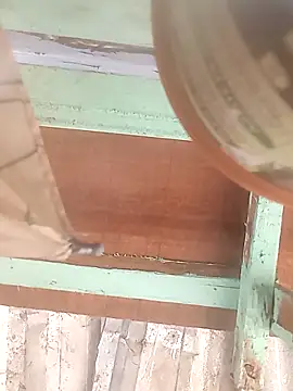 euchapo99 online show from February 2026 01:52:02 PM