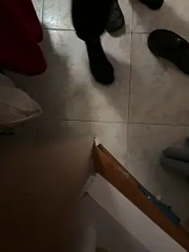 D4n13l47 online show from April 2026 06:58:01 PM