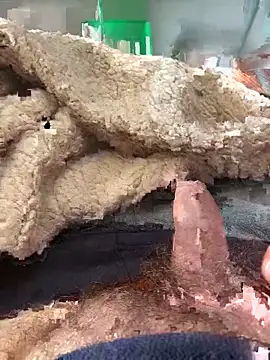 D4n13l47 online show from March 2026 10:01:02 AM