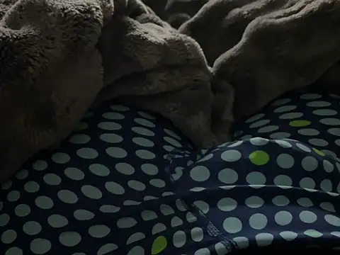 kakarot241515 online show from March 2026 02:17:02 AM