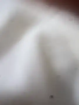 Jaybraconect online show from February 2026 05:09:01 AM