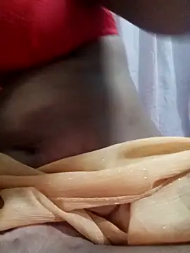 Snapshot of sonahasi chatting on March 2026 04:29:02 PM sonahasi online show from March 2026 04:29:02 PM