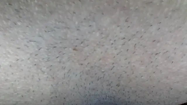 machodotado97 online show from March 2026 05:14:02 AM