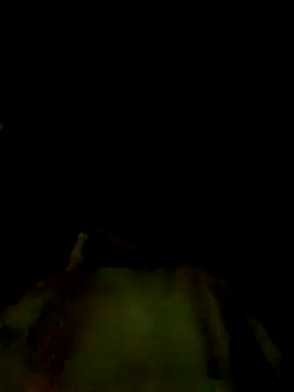 Snapshot of India-Sajan chatting on February 2026 05:13:02 PM India-Sajan online show from February 2026 05:13:02 PM