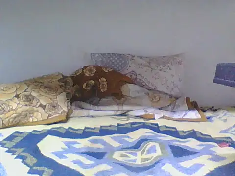 ahmetsoner0249 online show from April 2026 06:21:02 PM