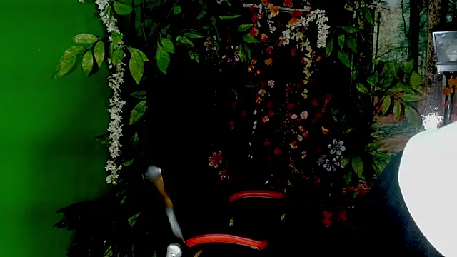 Darkiin FTM online show from February 2026 03:50:01 AM