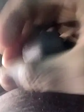 taherDzzf online show from March 2026 11:27:01 PM