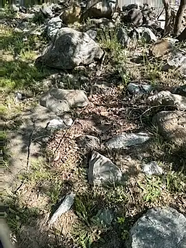 TurkeyMen online show from April 2026 06:09:02 AM
