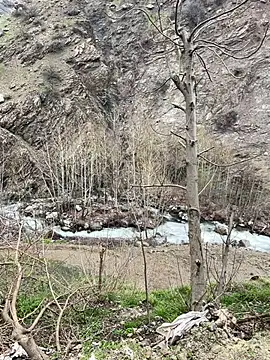 TurkeyMen online show from April 2026 09:11:01 AM