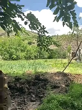 TurkeyMen online show from May 2026 09:04:01 AM