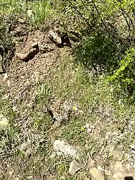 TurkeyMen online show from April 2026 06:39:01 AM