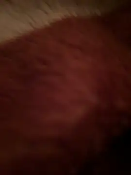 Crevette311 online show from December 2025 09:15:02 PM