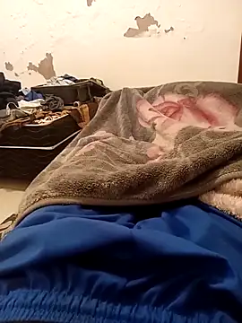 Mineirinho 85 online show from April 2026 05:00:02 AM