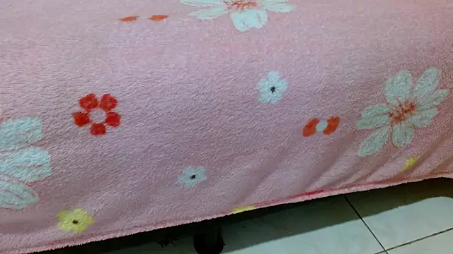  online show from March 2026 06:36:02 AM