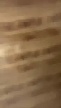 walterktm online show from April 2026 02:35:01 AM