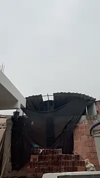 walterktm online show from March 2026 04:29:01 PM