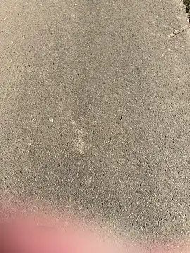 Marlon06  online show from April 2026 02:51:02 PM