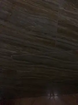 King cotize online show from February 2026 06:02:01 AM