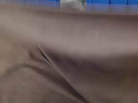 CurvyAssXX21 online show from February 2026 06:26:01 AM