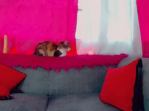 DeboraGill online show from March 2026 08:24:01 PM